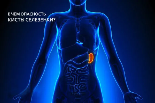 опасна ли опухоль селезенки
