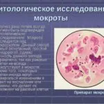 цитологическое иследование