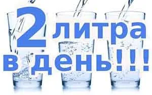 здоровье почек