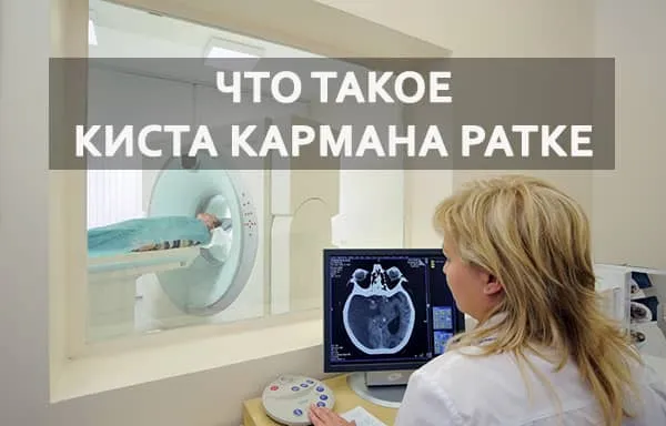 образование в мозгу