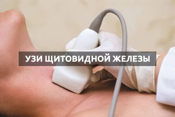узи щитовидки