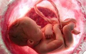 Киста яичника у эмбриона